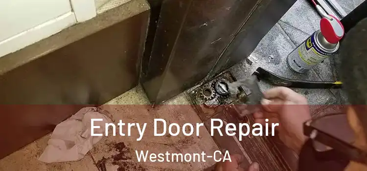 Entry Door Repair Westmont-CA