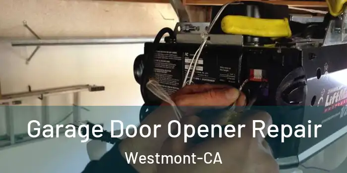  Garage Door Opener Repair Westmont-CA