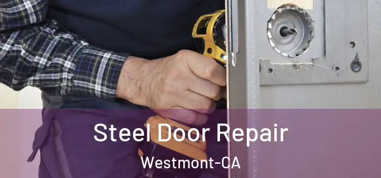  Steel Door Repair Westmont-CA